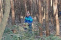 Čiščenje gozda